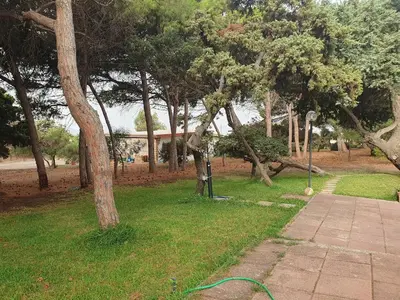 Giardino di ThirtyOneB - villaggio Costa del Sole