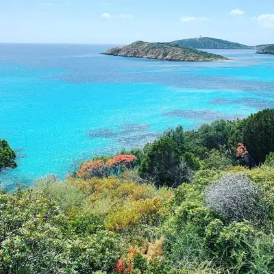 Paesaggio naturale nelle vicinanze della villa