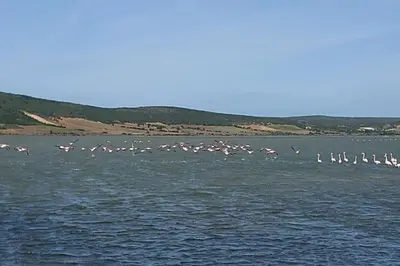 Paesaggio naturale nelle vicinanze della villa