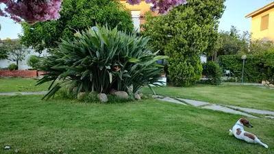 Giardino di Villa Teresa