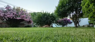 Giardino di Villa Teresa