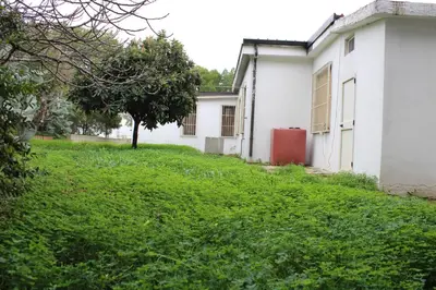 Giardino di Villa Luigina e Orazio,Cardedu, 7 posti letto