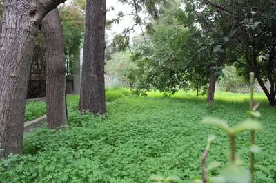 Giardino di Villa Luigina e Orazio,Cardedu, 7 posti letto