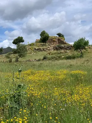 Paesaggio naturale nelle vicinanze dell'appartamento