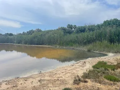 Paesaggio naturale nelle vicinanze dell'appartamento