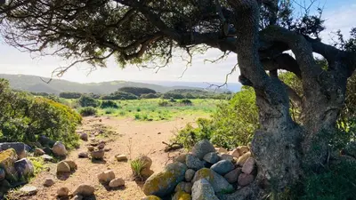 Paesaggio naturale nelle vicinanze del bed & breakfast