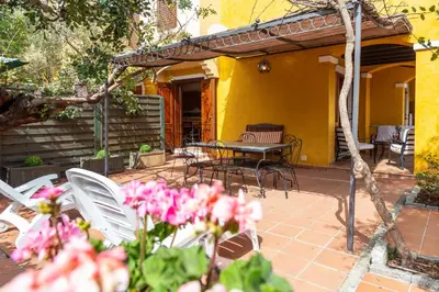 Giardino di Casa il grande Carrubo