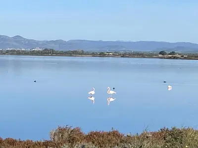 Paesaggio naturale nelle vicinanze della casa vacanze