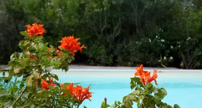Paesaggio naturale nelle vicinanze della casa vacanze