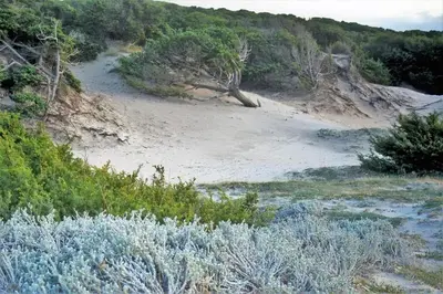 Paesaggio naturale nelle vicinanze dell'appartamento