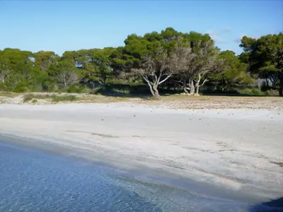 Paesaggio naturale nelle vicinanze dell'appartamento
