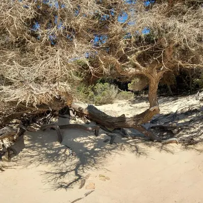 Paesaggio naturale nelle vicinanze della casa vacanze