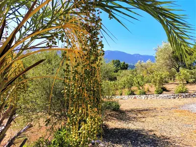 Paesaggio naturale nelle vicinanze della casa vacanze
