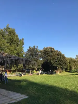 Giardino di Agriturismo Su Niu
