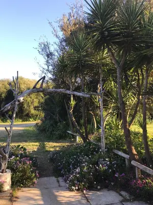 Giardino di Agriturismo Su Niu