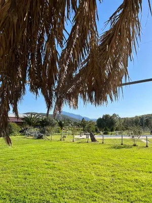Paesaggio naturale nelle vicinanze dell'agriturismo