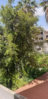 Giardino di Casa vacanze Cagliari