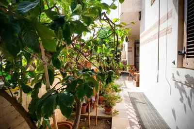 Giardino di La Via per Tharros