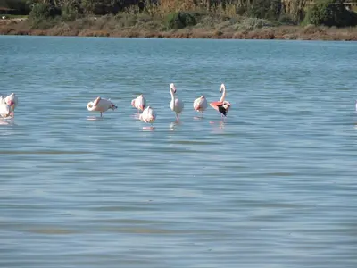 Paesaggio naturale nelle vicinanze dell'appartamento