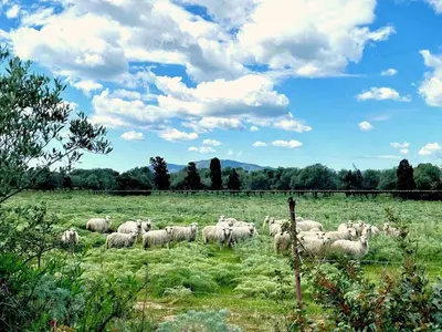 Paesaggio naturale nelle vicinanze della villa
