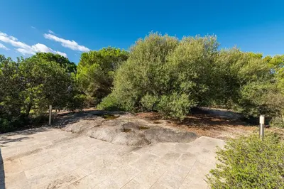 Paesaggio naturale nelle vicinanze della villa