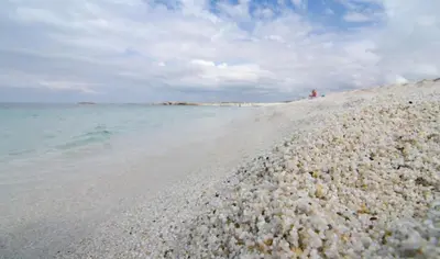 Paesaggio naturale nelle vicinanze della casa vacanze