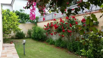 Giardino di Giulia's House