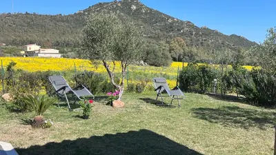 Paesaggio naturale nelle vicinanze dell'appartamento