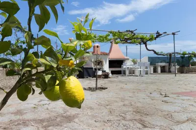 Planimetria di 1 - Villa Is Orrosas - Lucia's Holiday Home - Sa Crai Apartments Sardinian Experience