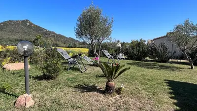Paesaggio naturale nelle vicinanze della villa