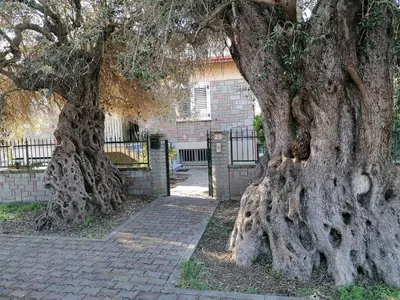 Planimetria di La casa degli ulivi