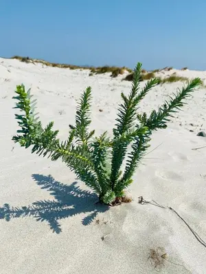 Paesaggio naturale nelle vicinanze della casa vacanze