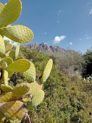 Paesaggio naturale nelle vicinanze dell'appartamento
