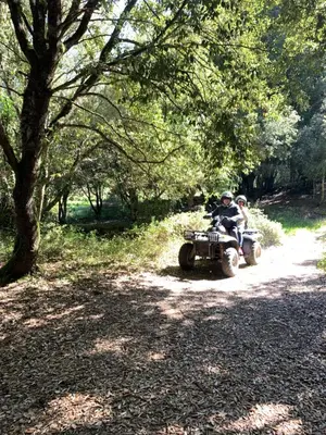 Paesaggio naturale nelle vicinanze dell'appartamento