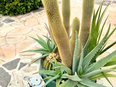 Giardino di Cabras, Vacanze A Due Passi Dal Mare
