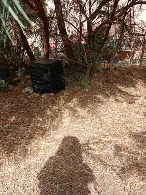 Giardino di VILLALoddo1 frontemare Tertenia