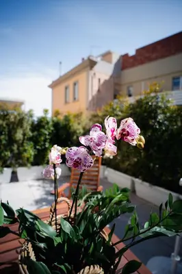 Giardino di Sunny city