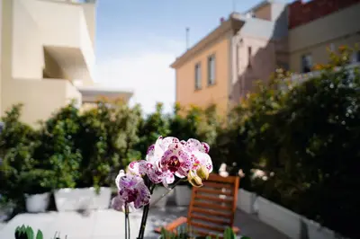 Giardino di Sunny city