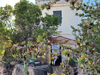 Giardino di Piccolo Borgo di Pescatori