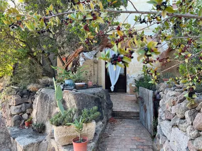 Giardino di Piccolo Borgo di Pescatori