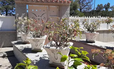 Giardino di Villa MarHel Arbatax