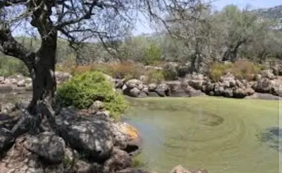 Paesaggio naturale nelle vicinanze dell'appartamento