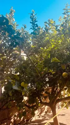 Paesaggio naturale nelle vicinanze della casa vacanze