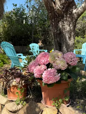 Giardino di Lovely home 5 min walk to the beach, 3 bedrooms ample outdoor relax and WIFI