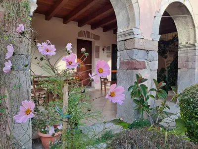 Giardino di B&B S'Omu Antiga