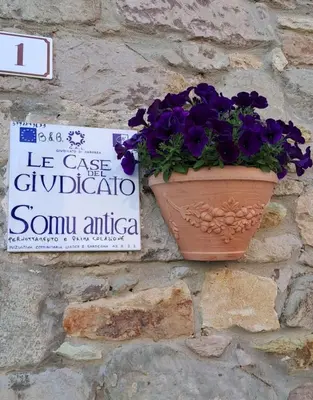 Certificato, attestato, insegna o altro documento esposto da B&B S'Omu Antiga