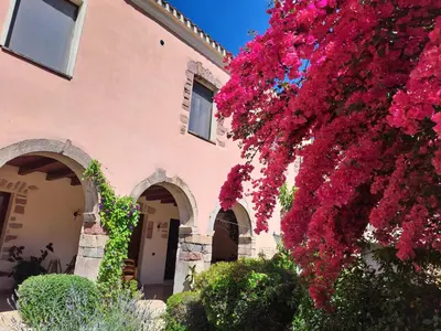 Giardino di B&B S'Omu Antiga