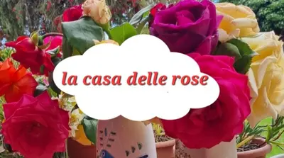 Planimetria di La casa delle rose