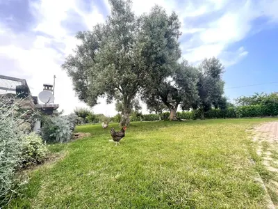 Giardino di Le Corti Sarde Sea Breeze