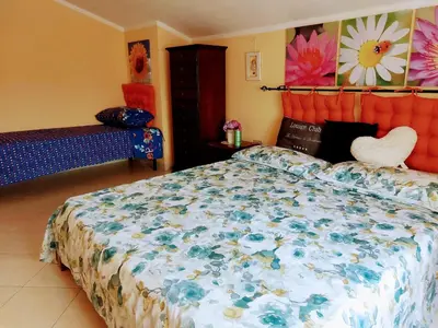 Letto o letti in una camera di Deliziosa casetta in centro a 10 min dal mare
